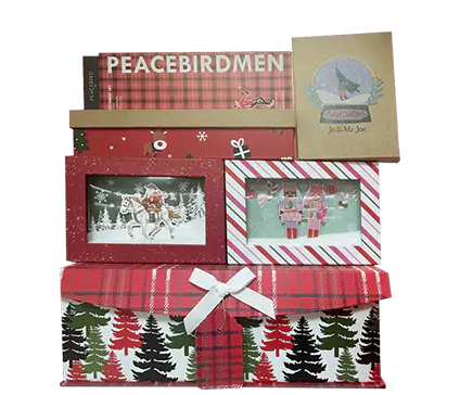 Compañía Tecnológica Songbai, Ltd.